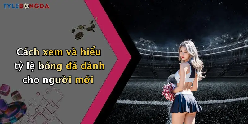 Cách xem và hiểu tỷ lệ bóng đá dành cho người mới