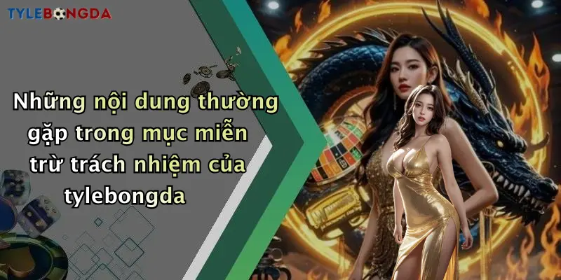 Những nội dung thường gặp trong mục miễn trừ trách nhiệm của tylebongda
