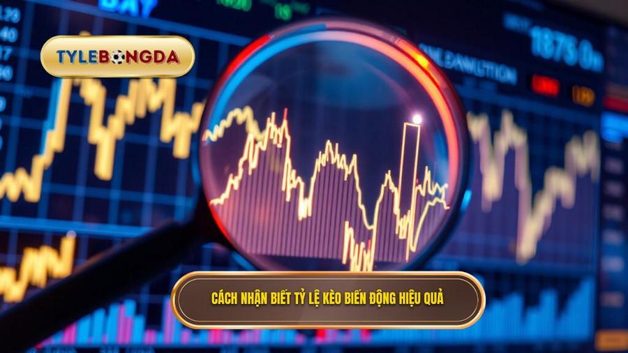Cách nhận biết và theo dõi tỷ lệ kèo biến động hiệu quả