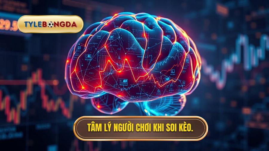 Phân tích đa chiều: Tâm lý học đằng sau biến động tỷ lệ kèo